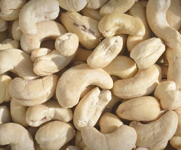 Castanha de Caju Natural aratinga cooperacaju